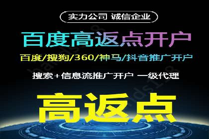 谷歌竞价广告的出价策略及某公司实践案例